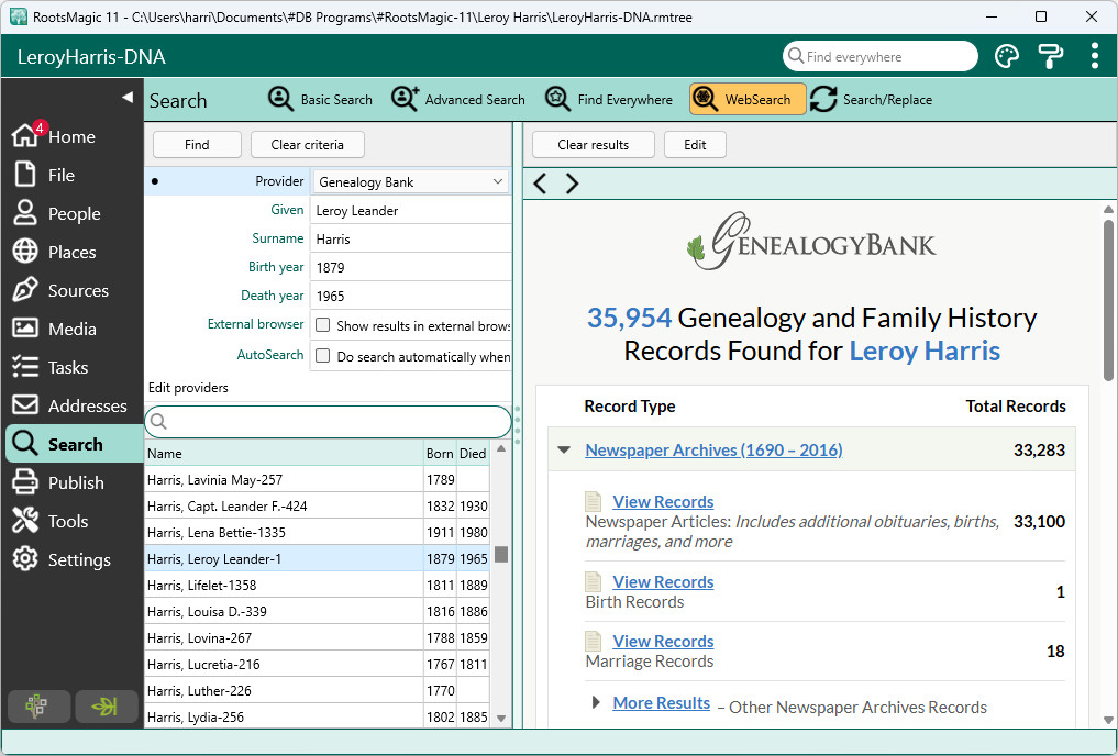 RM_Search-WebSearch-1